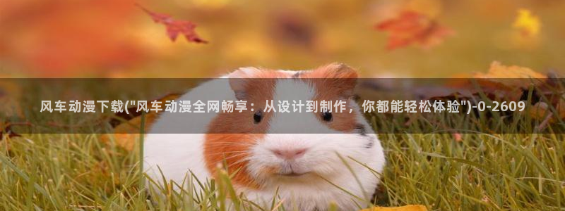 58动漫网站：风车动漫下载(\