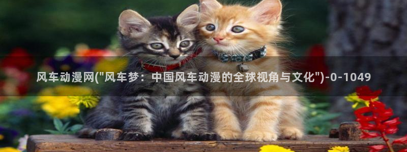 动漫国