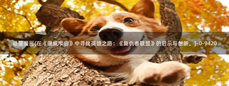 里番动漫在线观看
