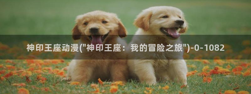 风之动漫：神印王座动漫(\