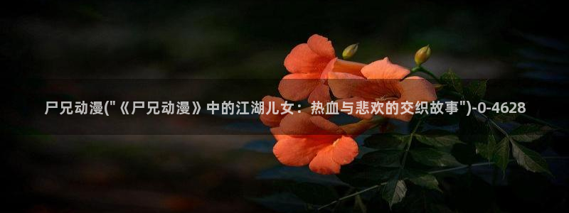 动漫a片