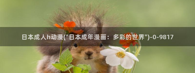 全职高手动漫
